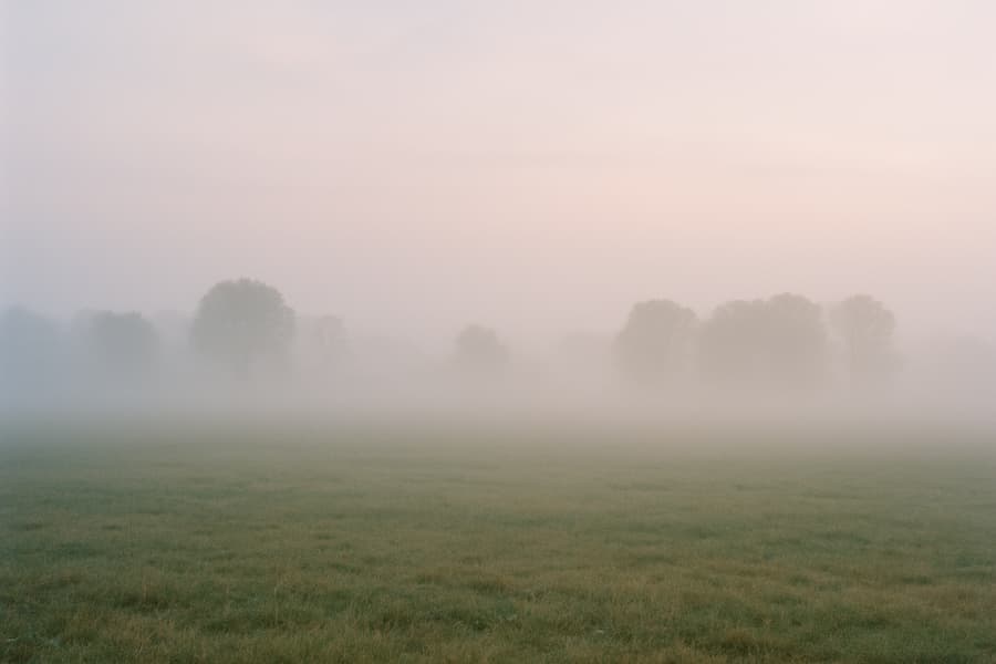 Misty Fields Tranquility